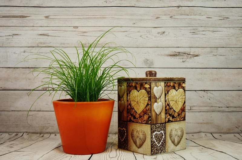 Tin Can Herb Pots